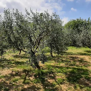Hébergement de vacances La Casetta Di Bianca, Riccò del Golfo di Spezia